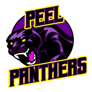 peel-panthers-resized https://peelregionfootball.ca/wp-content/uploads/2025/01/peel-panthers-resized-320x320.png